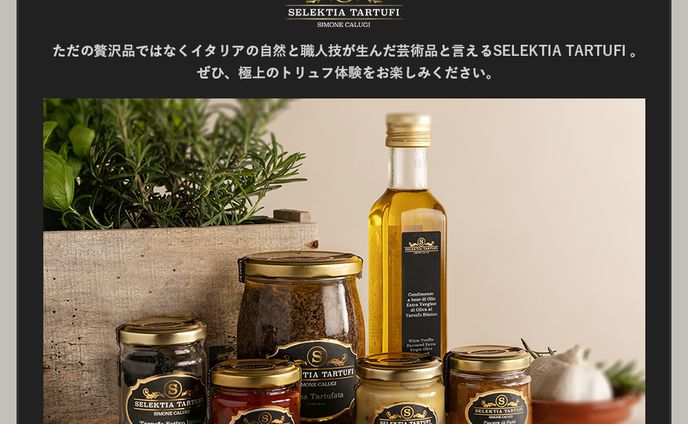 商品紹介ページデザイン