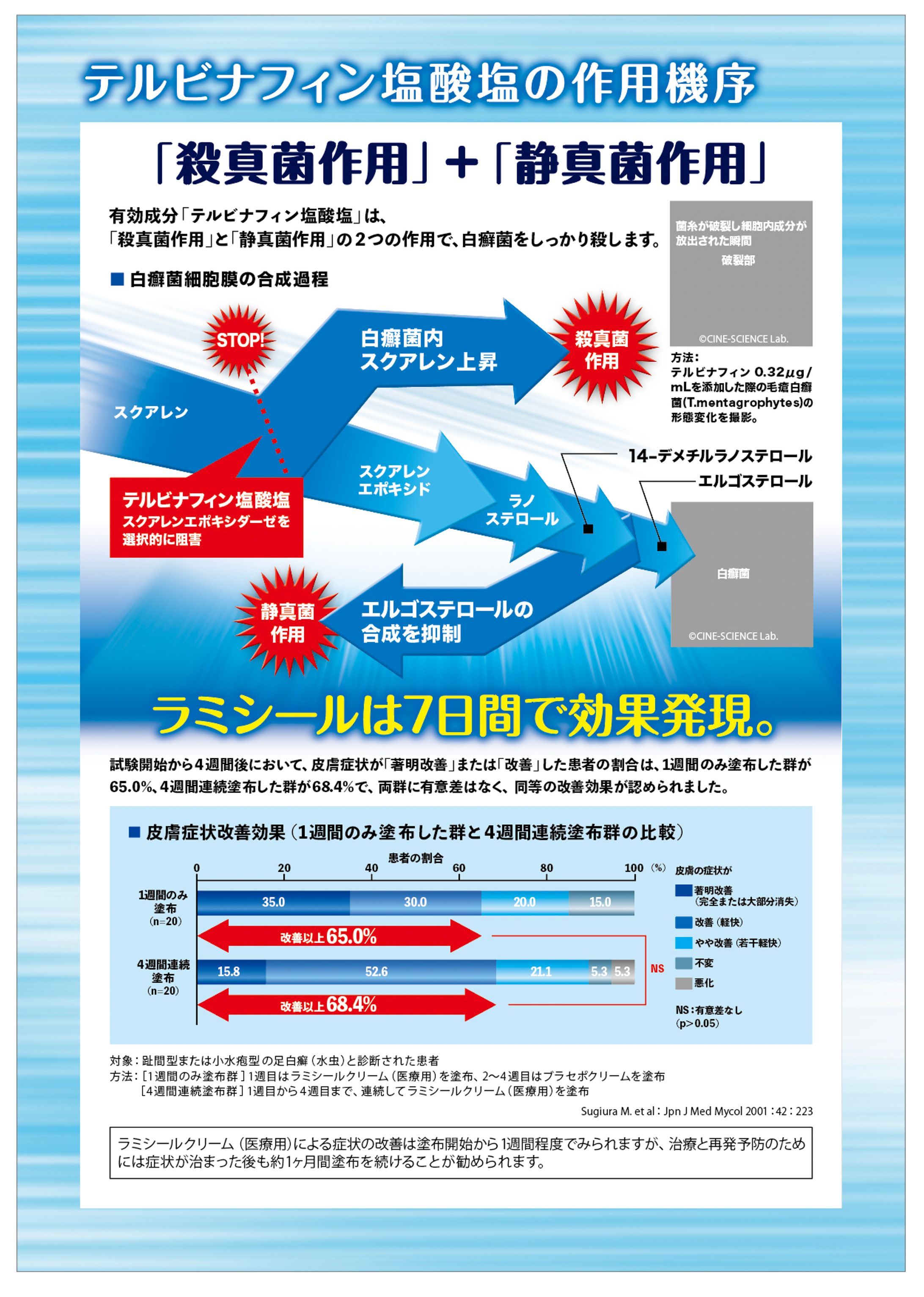 顧客用チラシデザイン-1