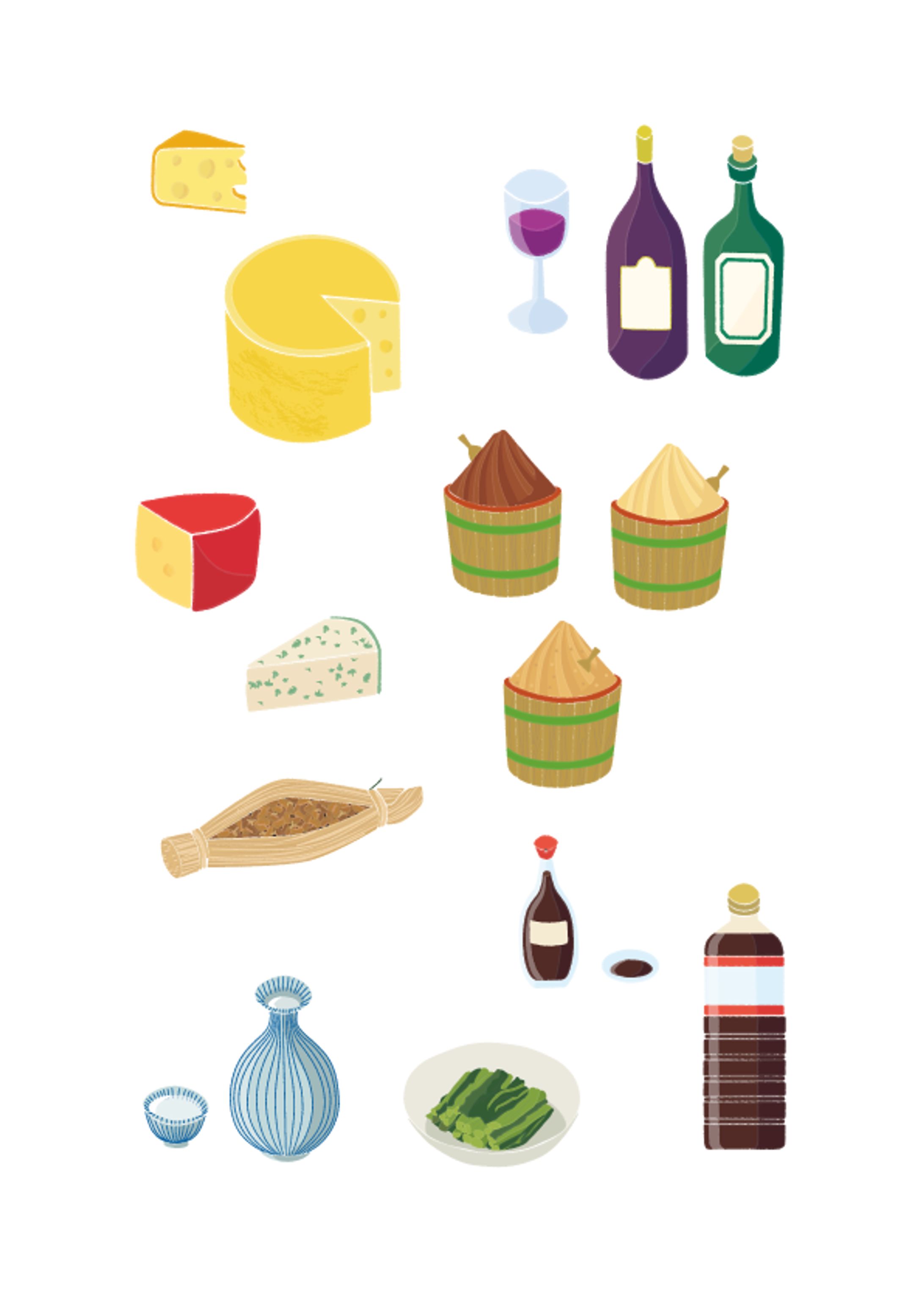 発酵食品イラスト-1