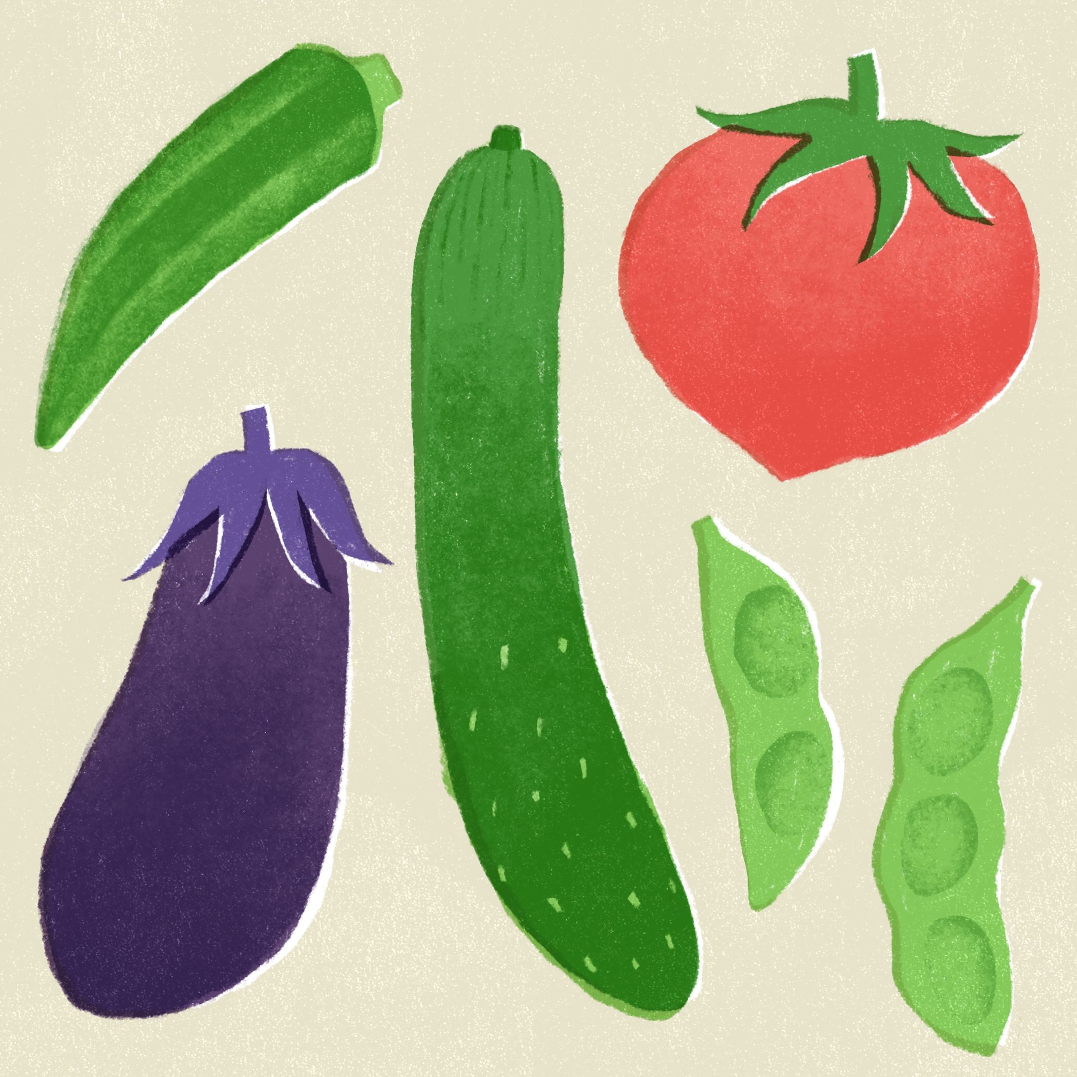 夏野菜-1