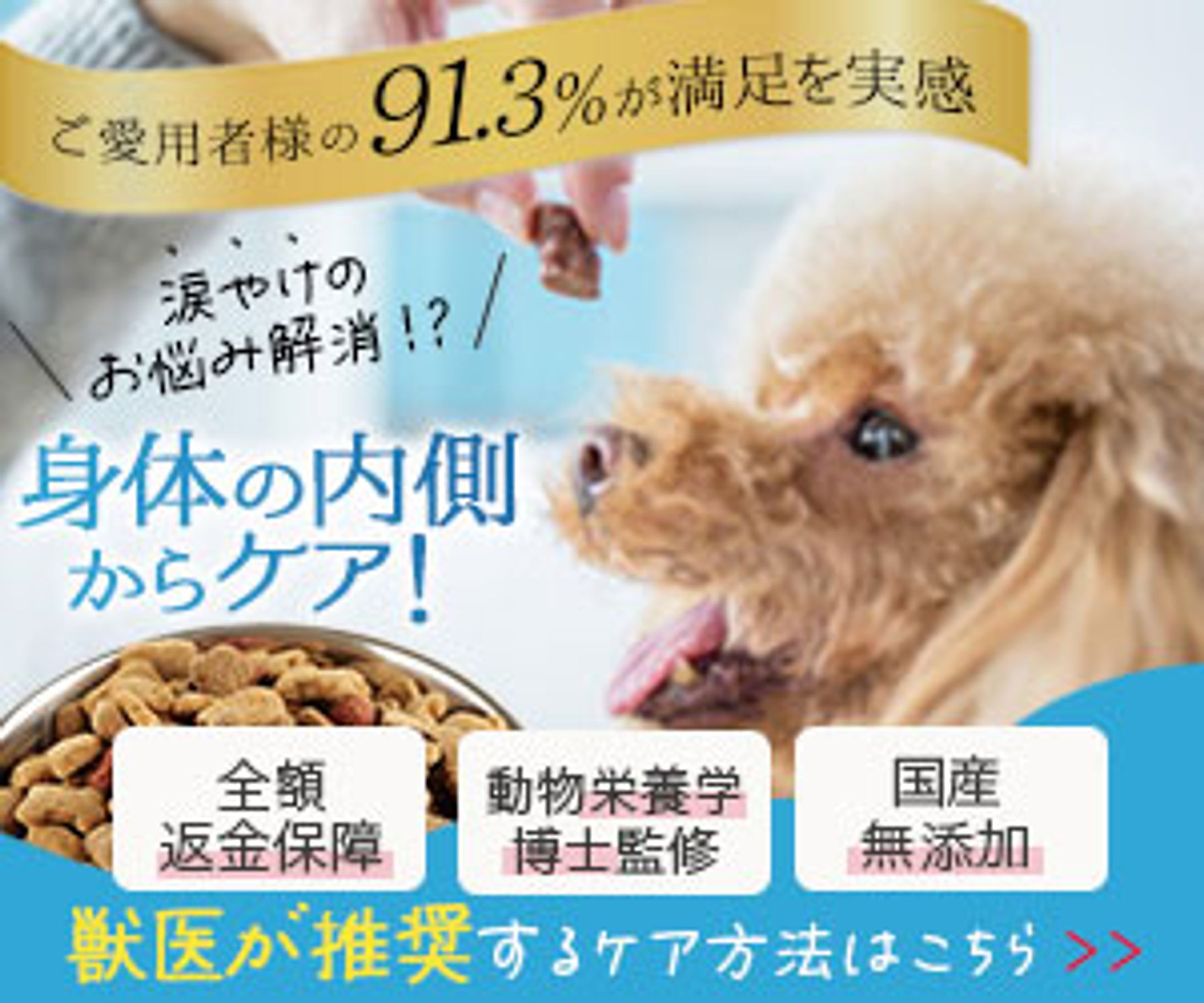 【バナー】ドッグフード-1