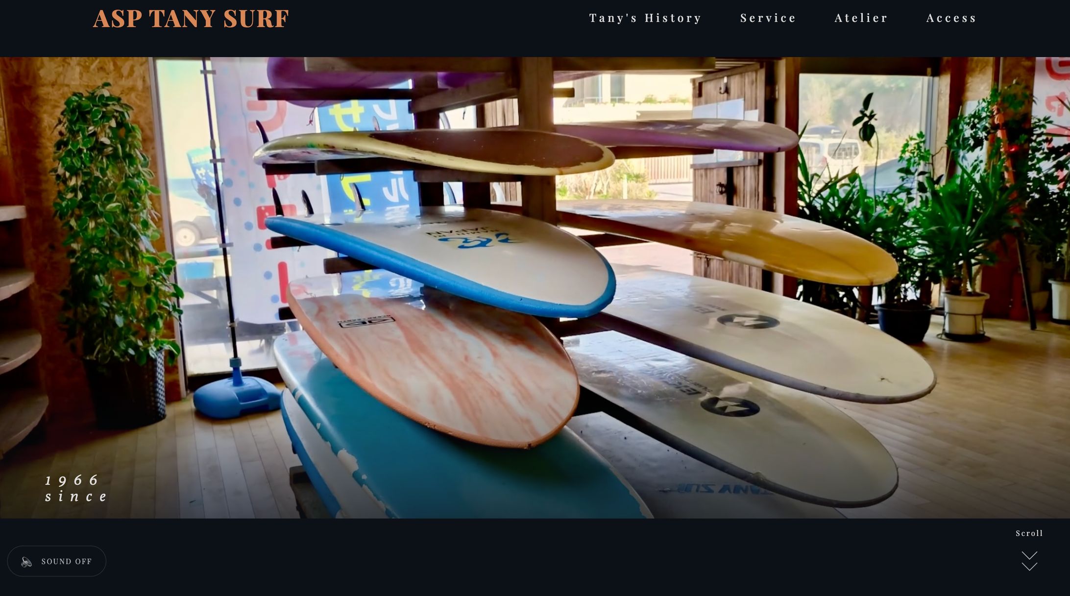 ASP TANY SURF 公式サイト リニューアル提案-1
