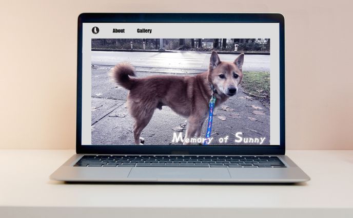 [HP]ペット紹介用/[Web site] Pet Introduction Page