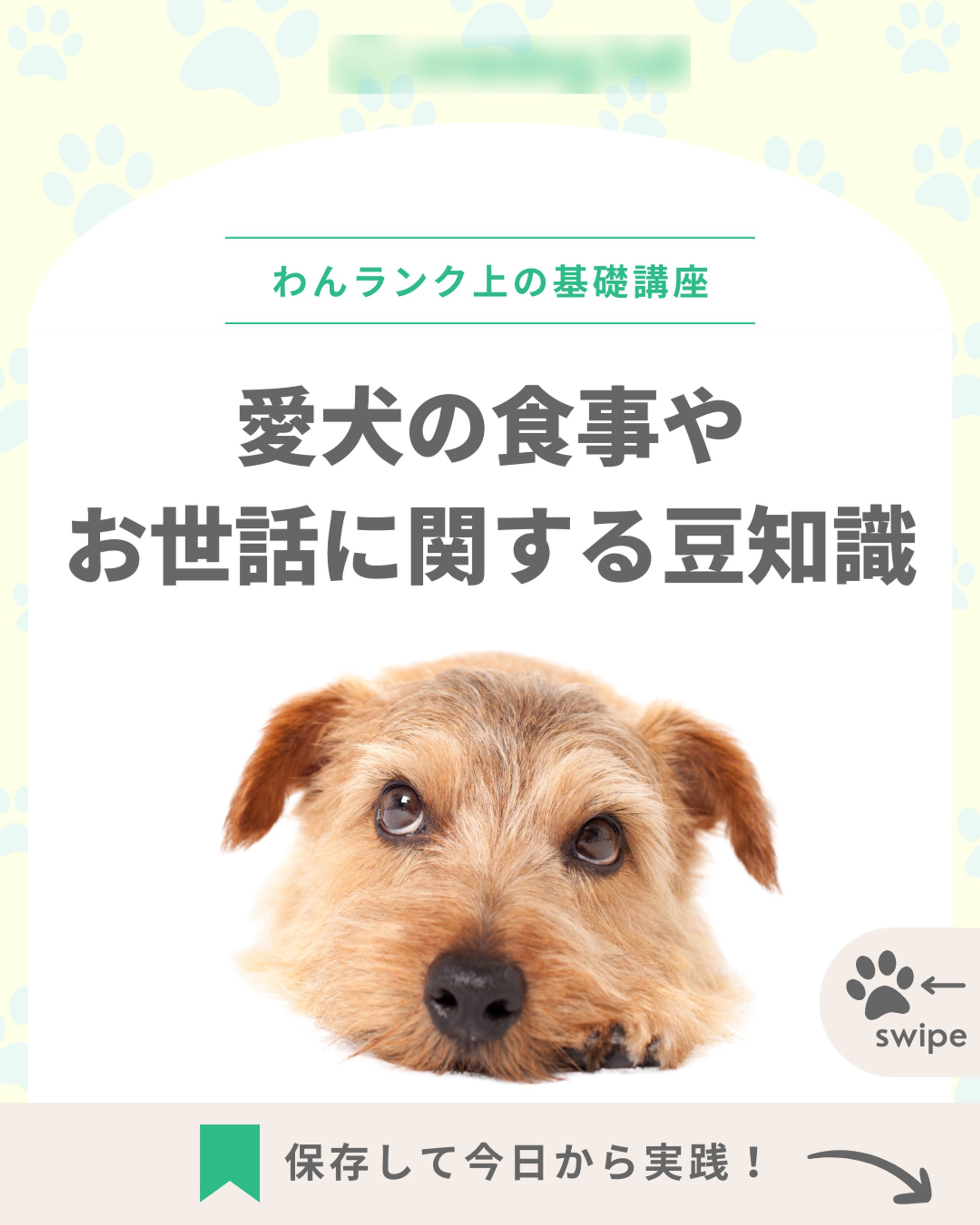 Instagram投稿画像｜ペットフード関連-1