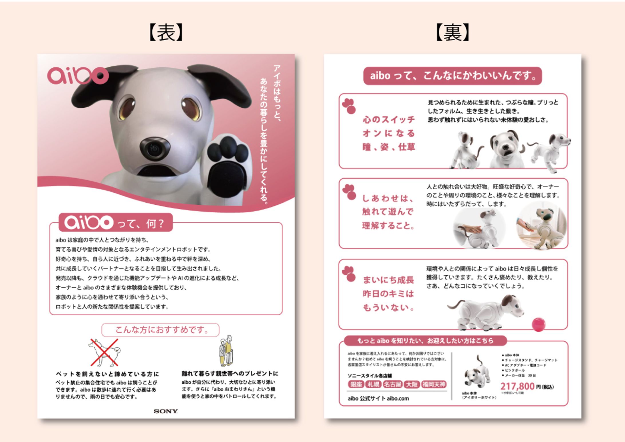 aibo フライヤー-1