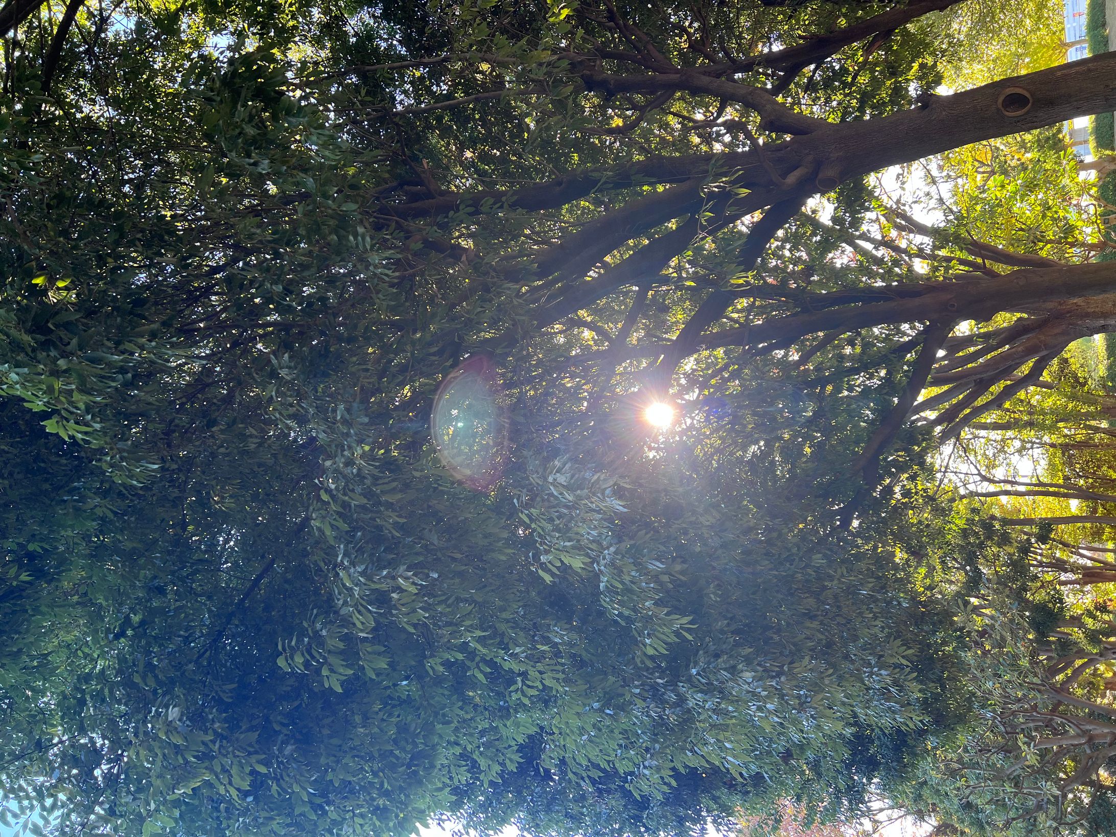 運動公園に行った日-1