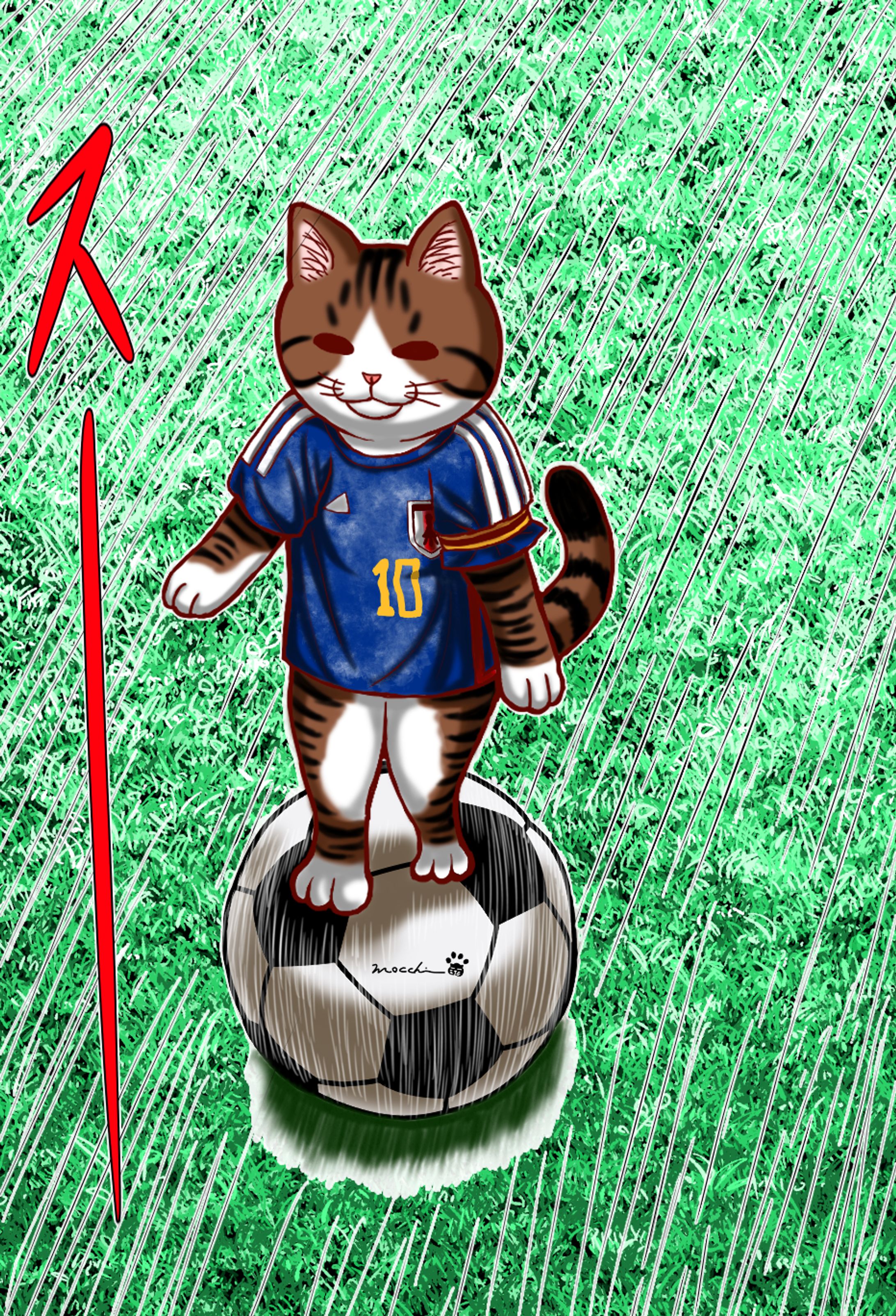 サッカー猫-1