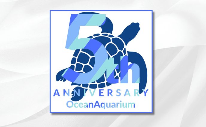 Ocean Aquarium　バナー