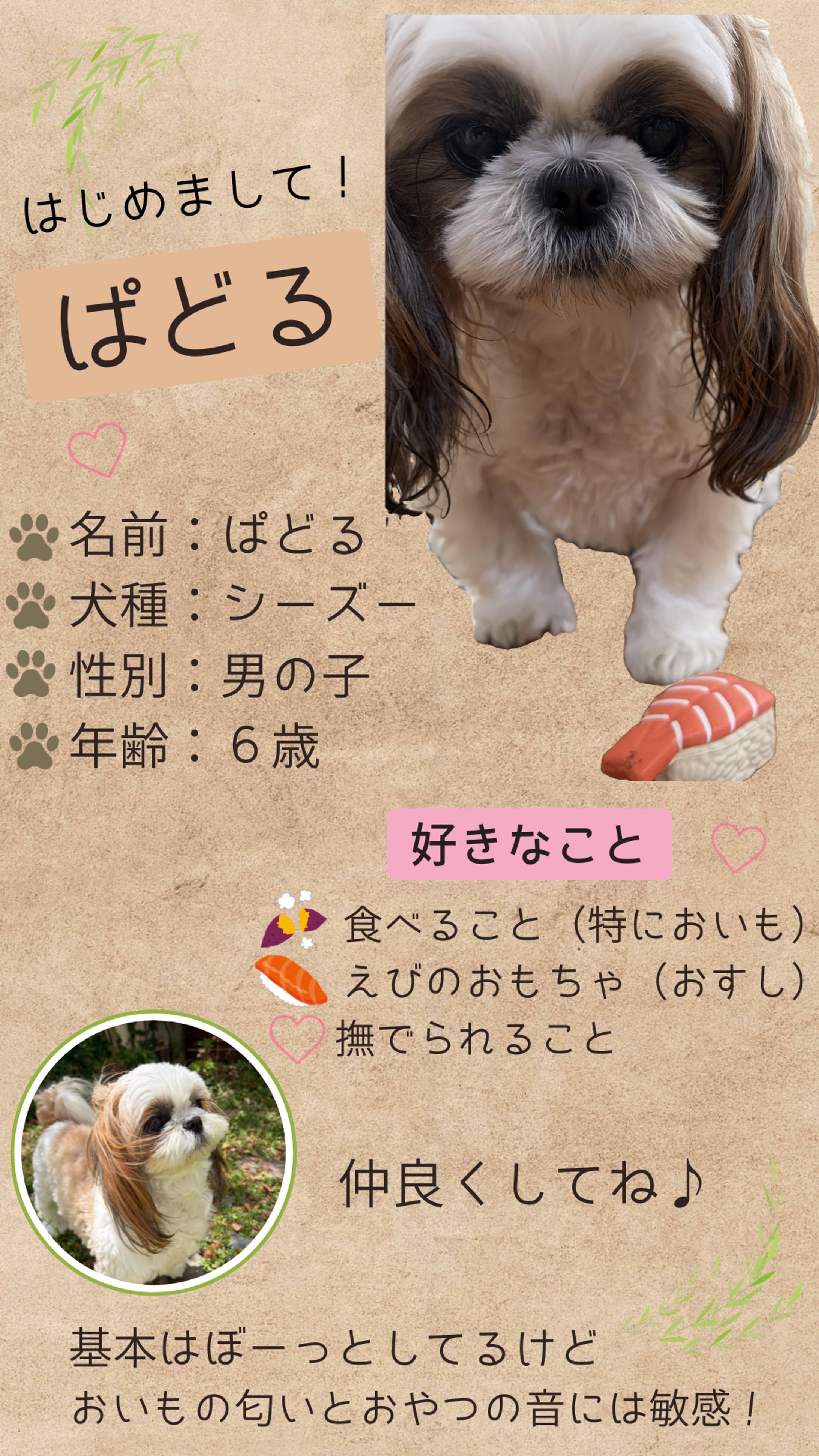 犬の自己紹介-1
