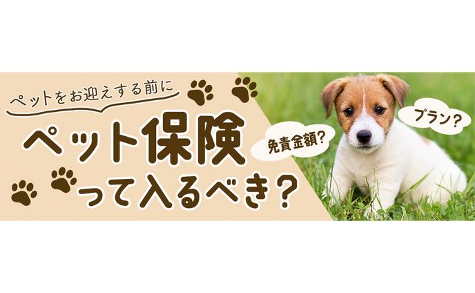 【コンペ】ペット保険  バナー