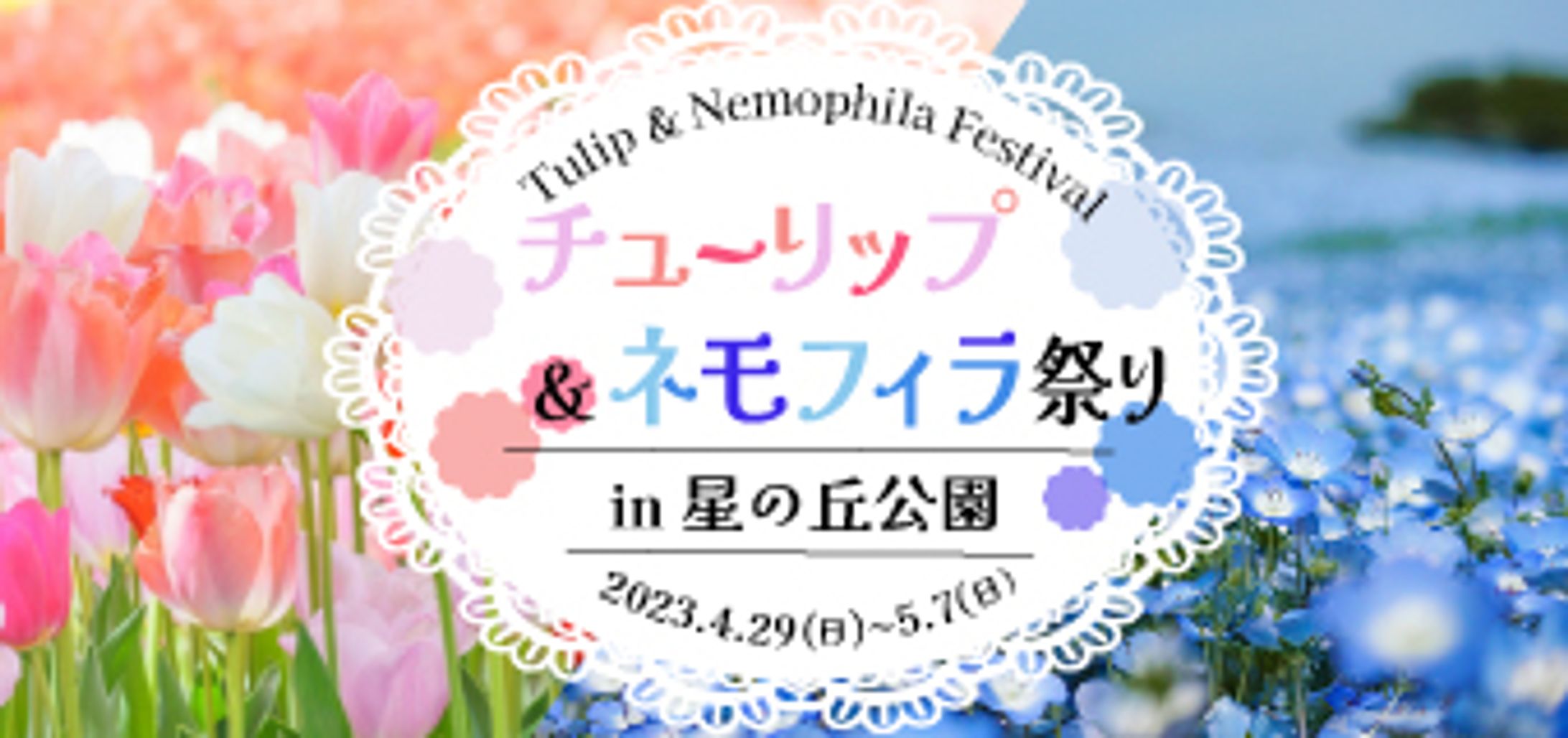 【自主制作】チューリップ＆ネモフィラバナー-1