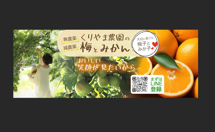 css、実案件