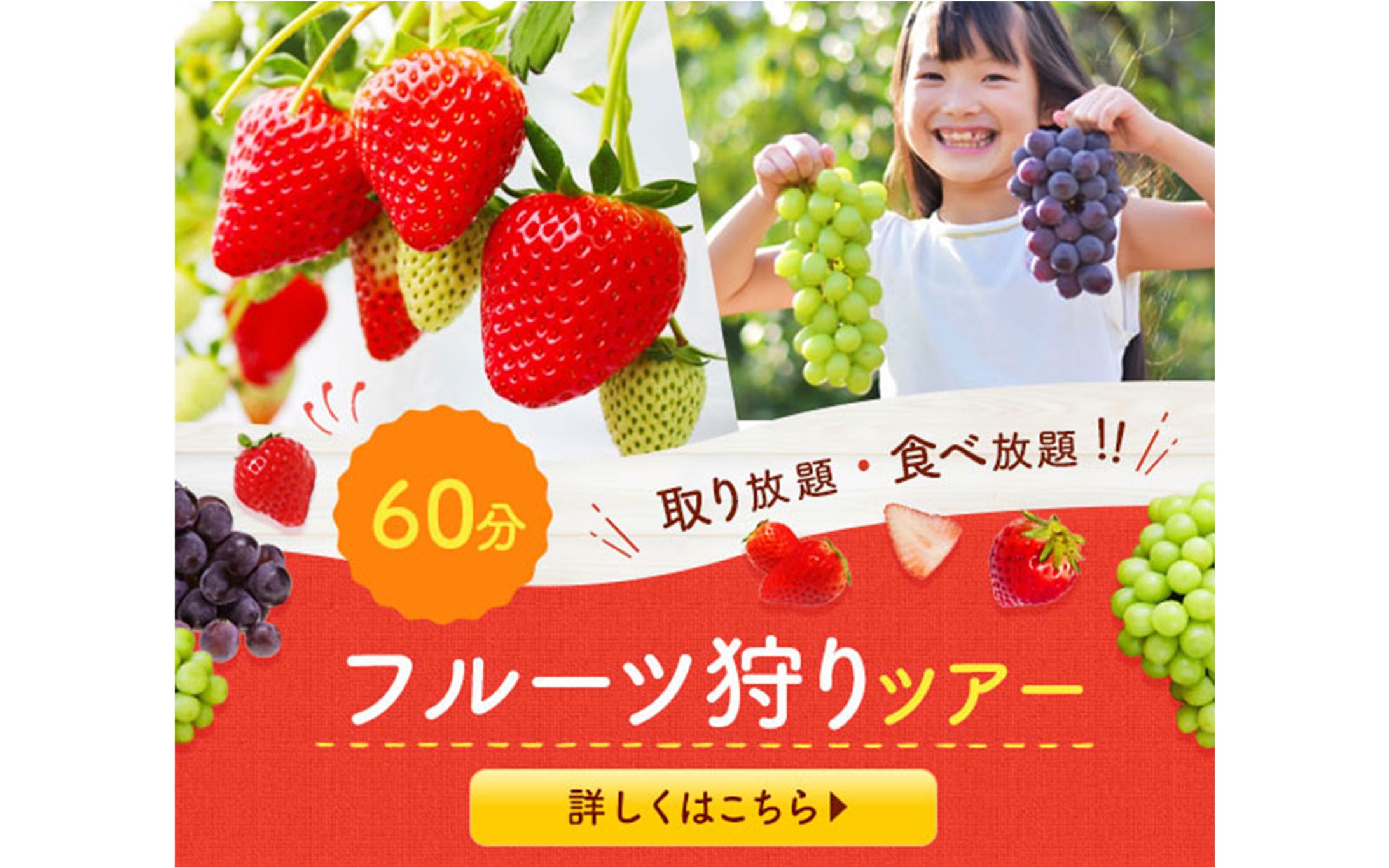 バナー｜フルーツ狩り-1
