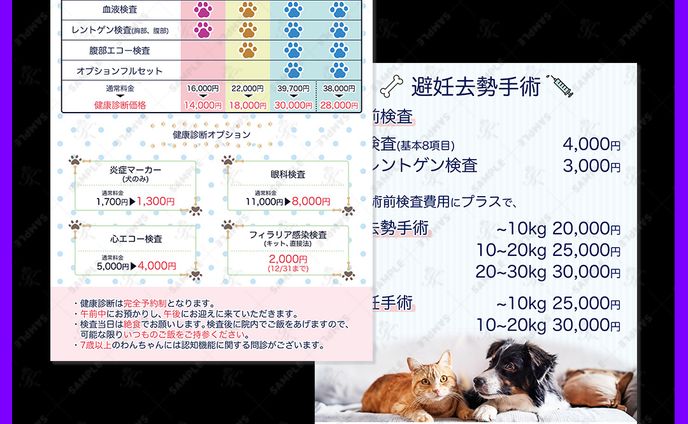 紙もの、チラシ