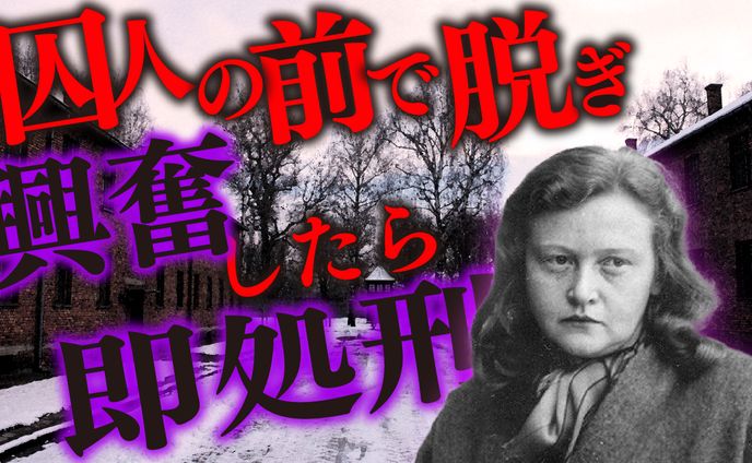 歴史系サムネイル
