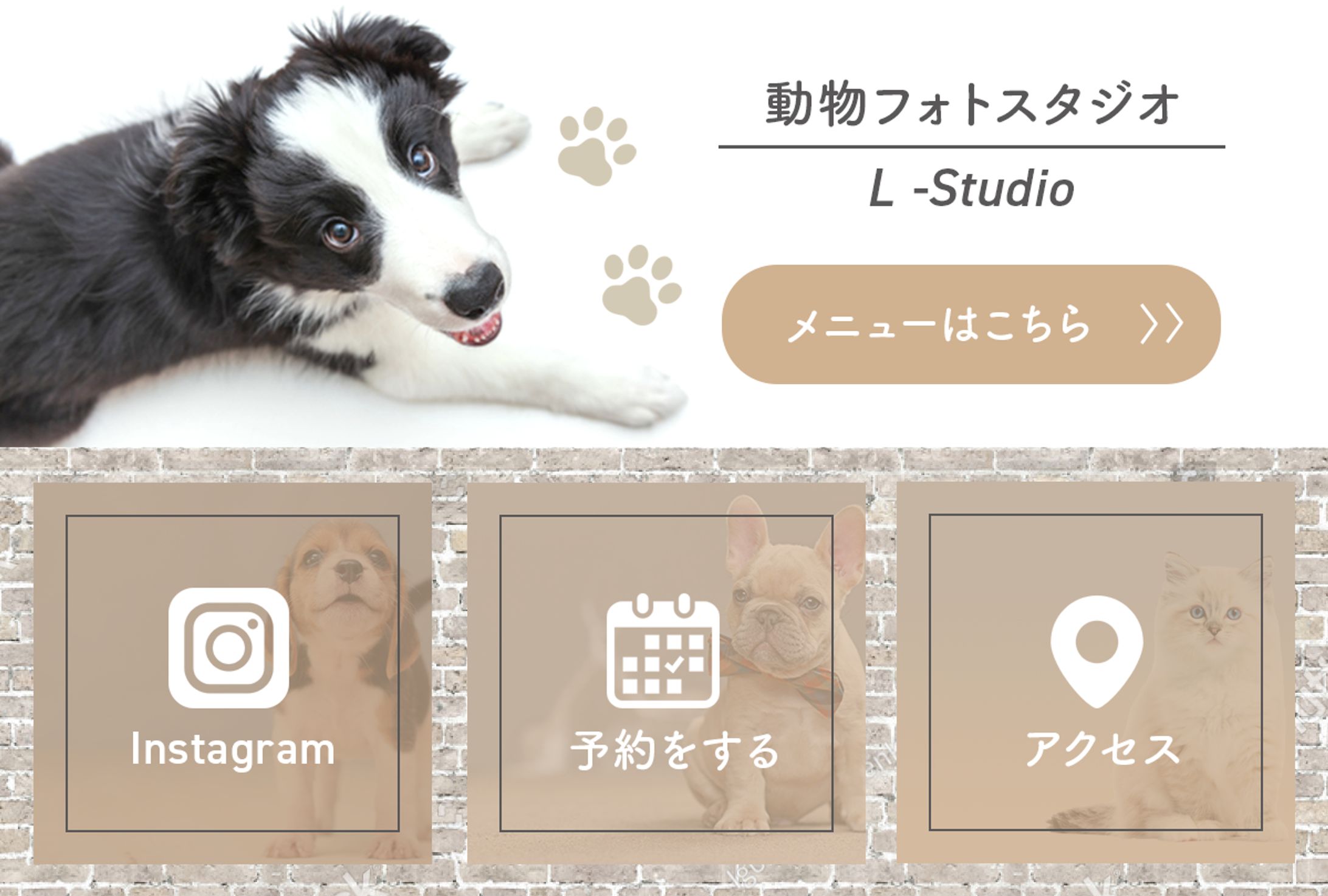 リッチメニュー/動物フォトスタジオ-1