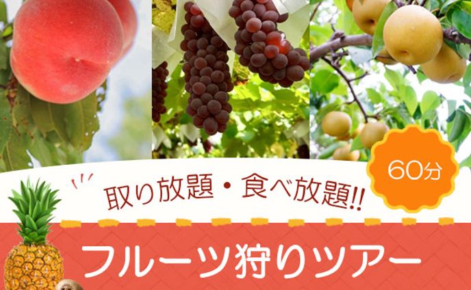 フルーツ狩りツアー