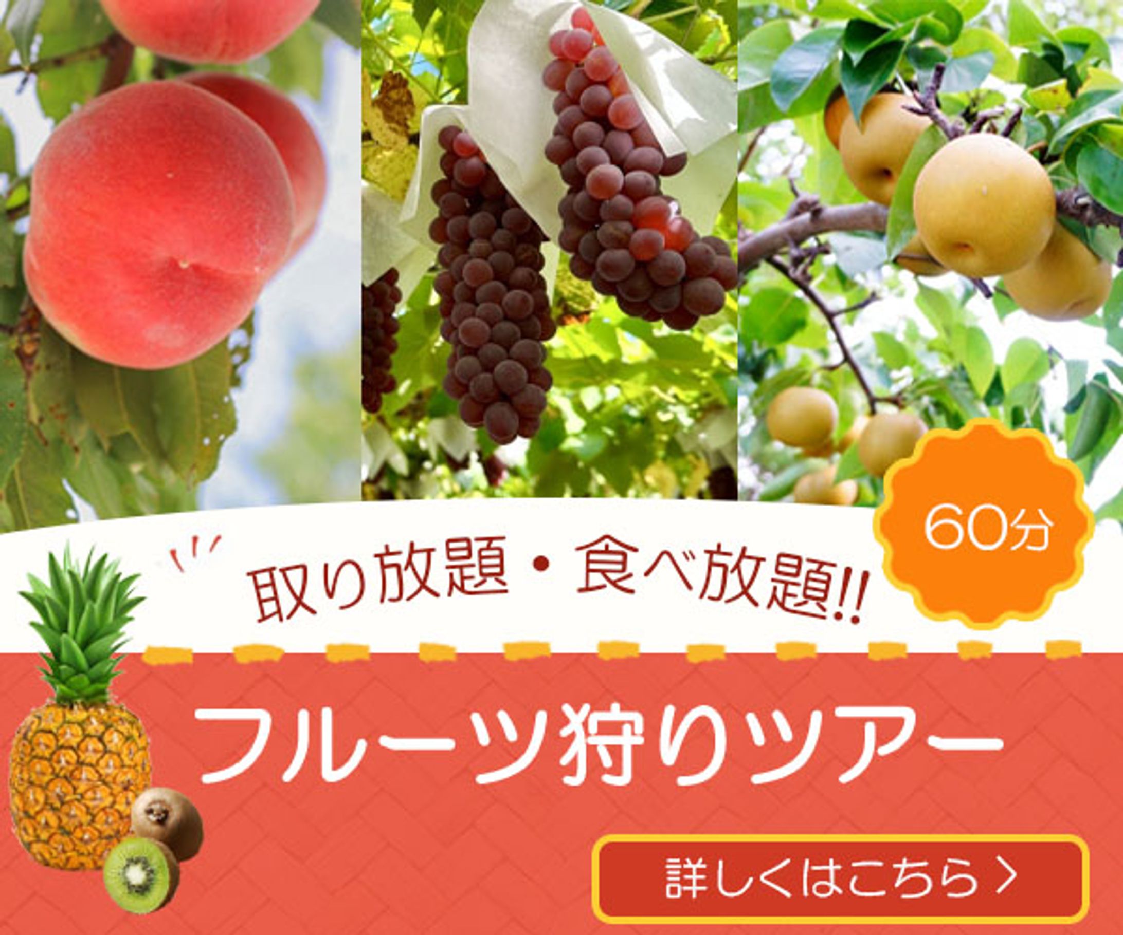 フルーツ狩りツアー-1