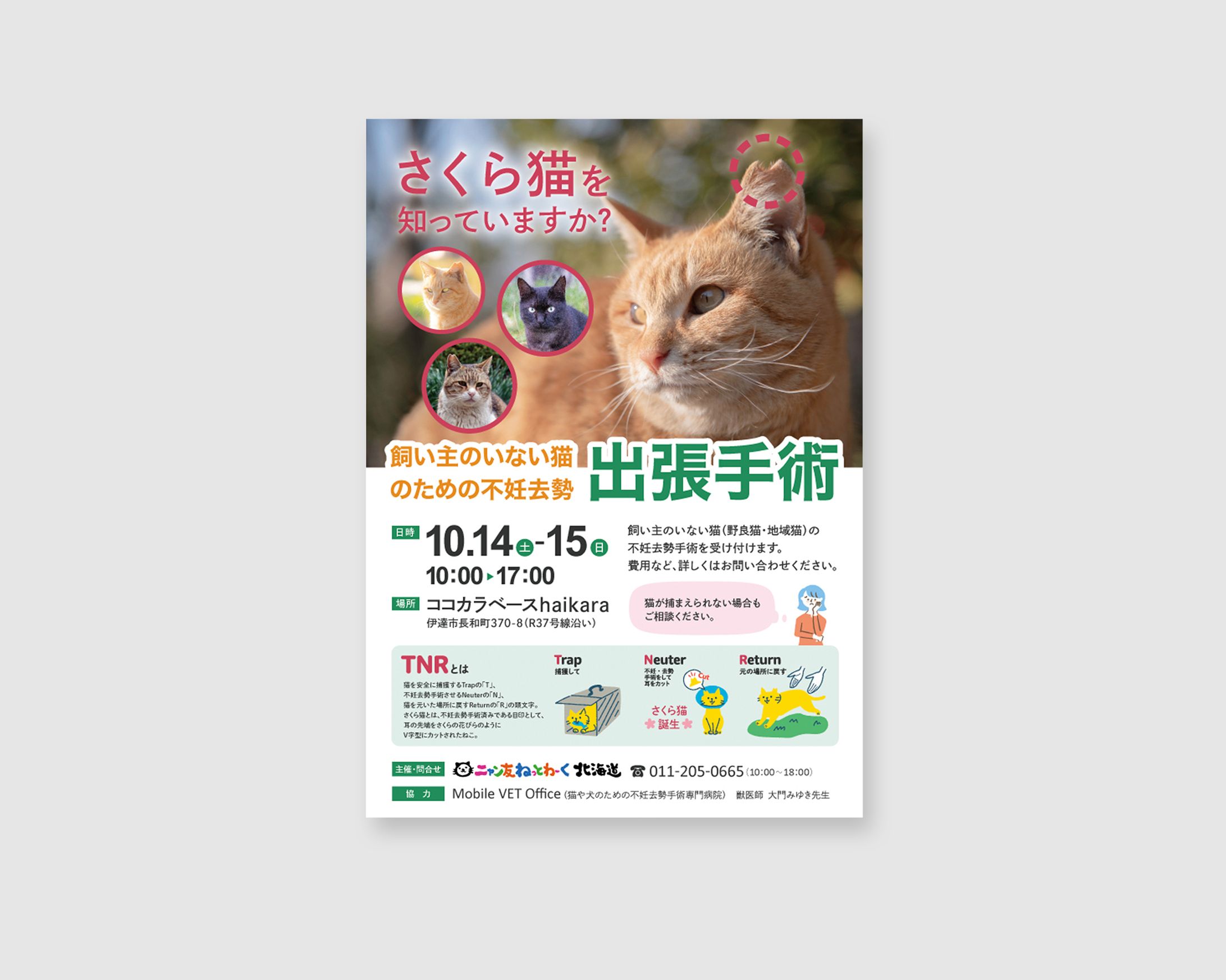 【実績】飼い主のいない猫のための不妊去勢出張手術ポスター（2023年10月）-1
