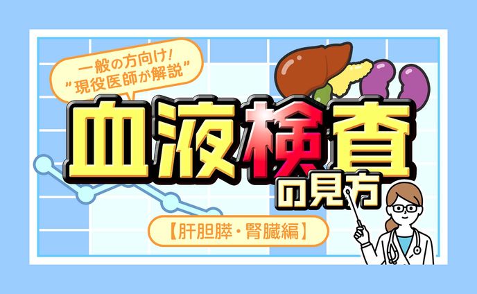 一般の方向け！血液検査の見方【肝胆膵・腎臓編】 サムネイル