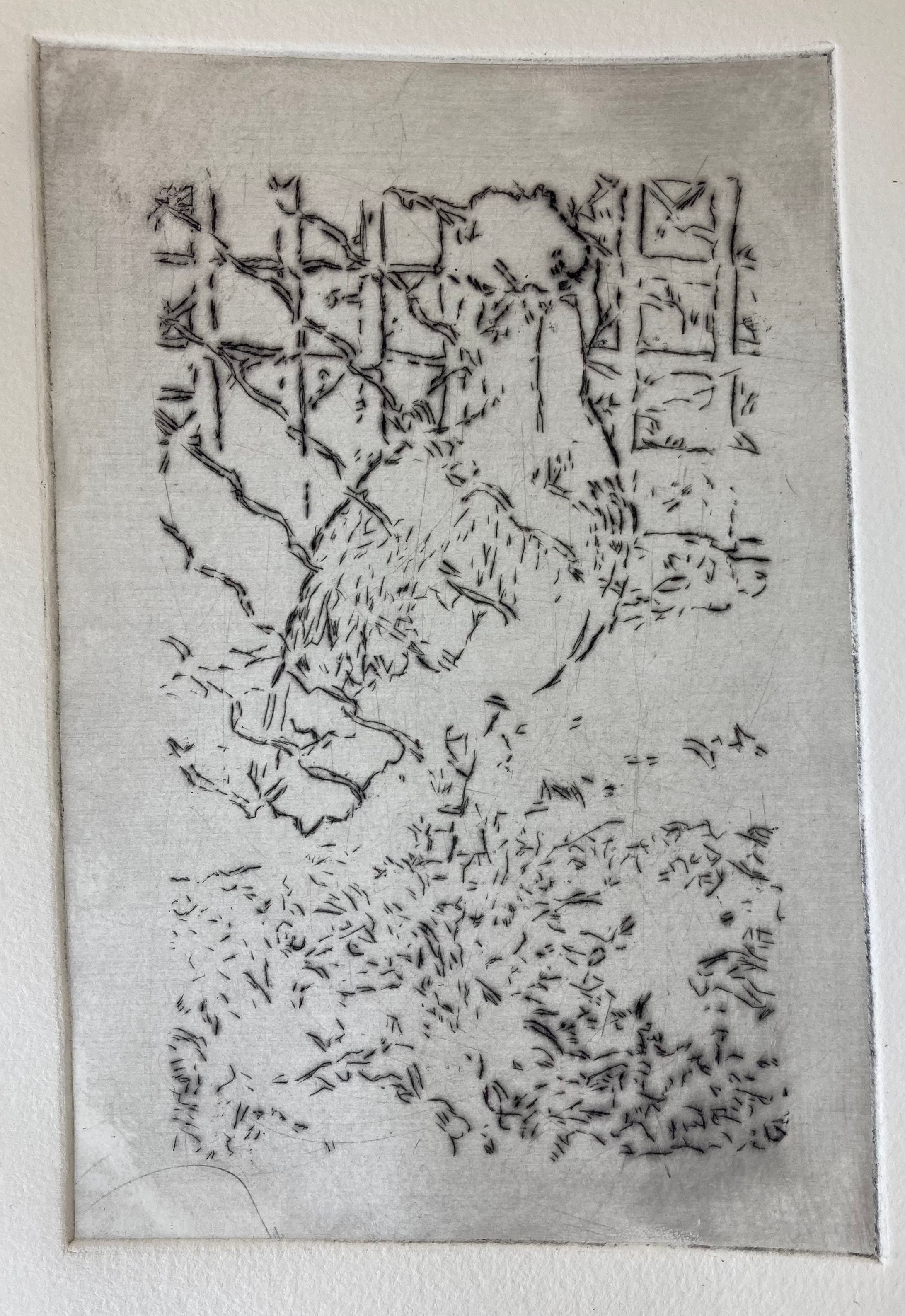 銅版画_ハシビロコウ-1
