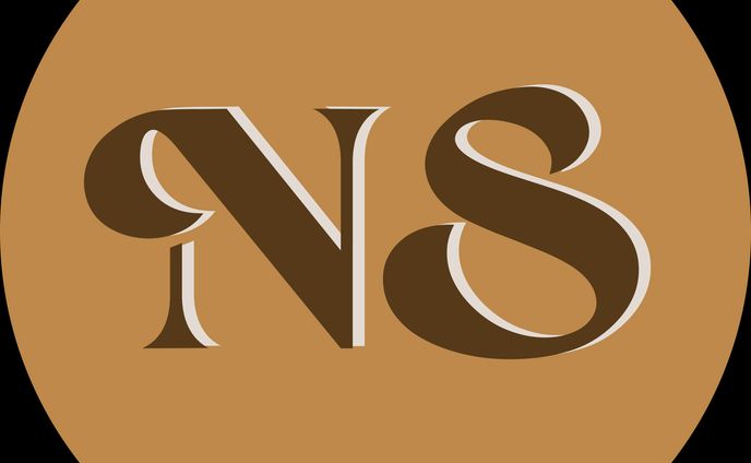 NS Logo