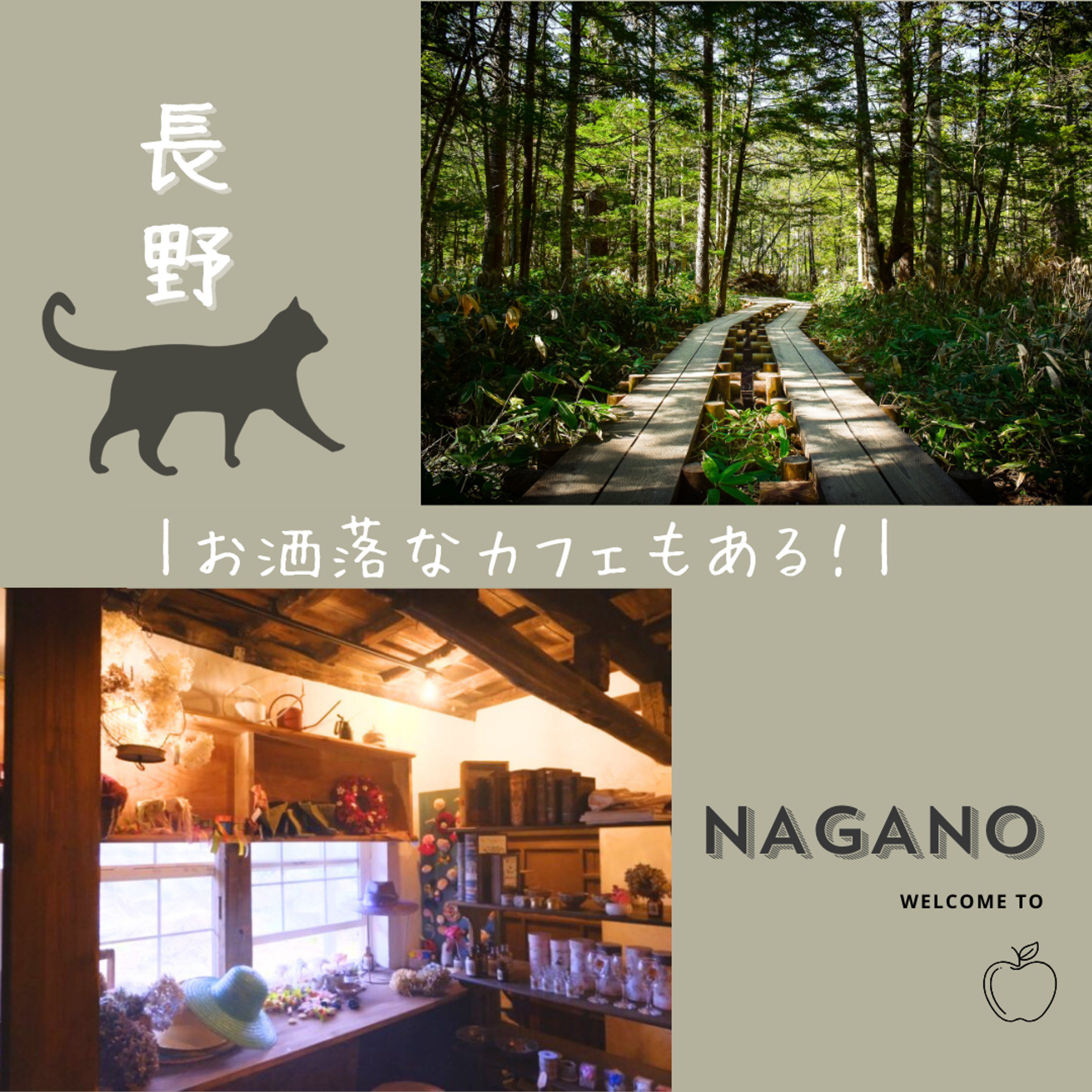 長野紹介-1