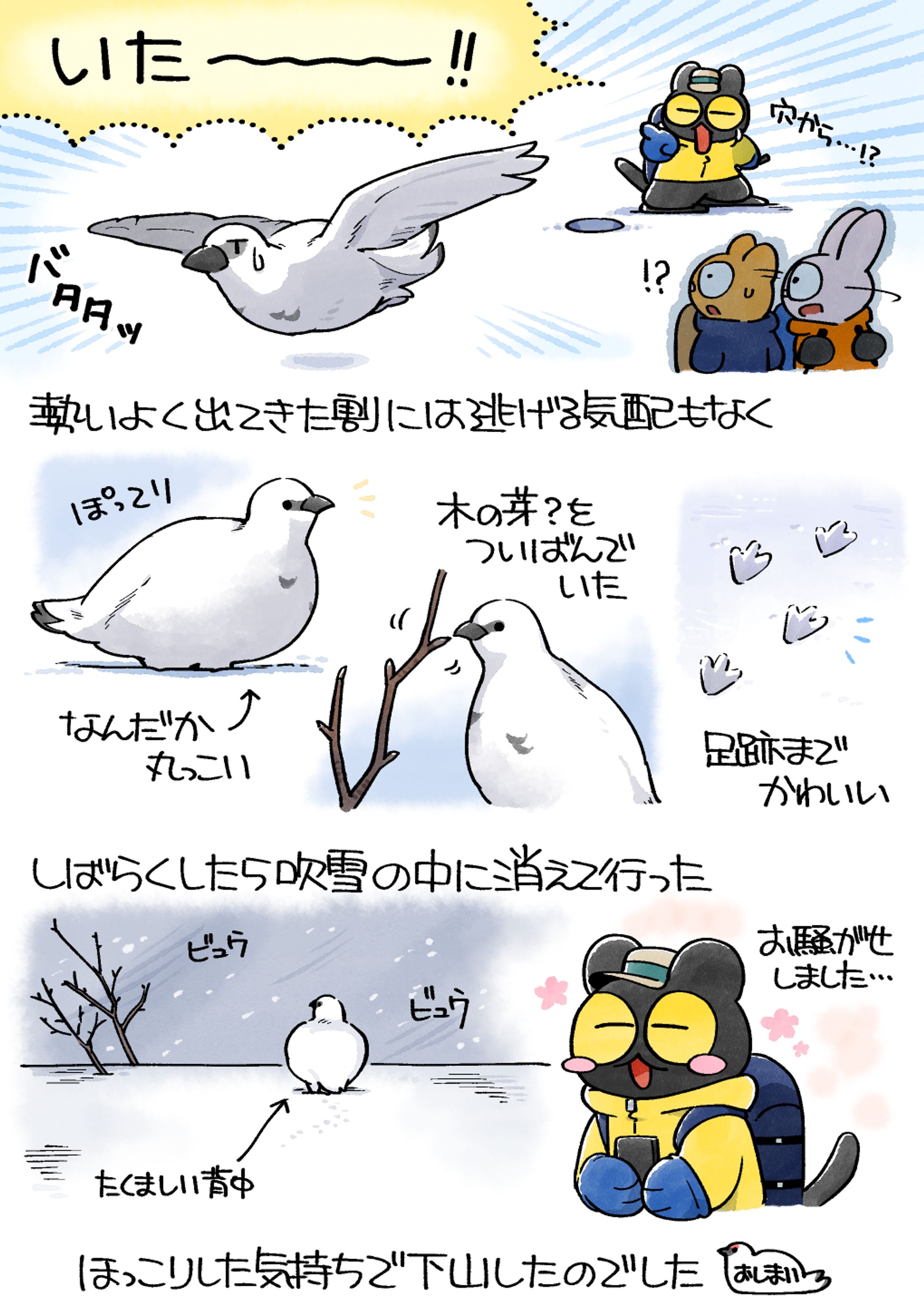 やまねこ日誌（2024年）
