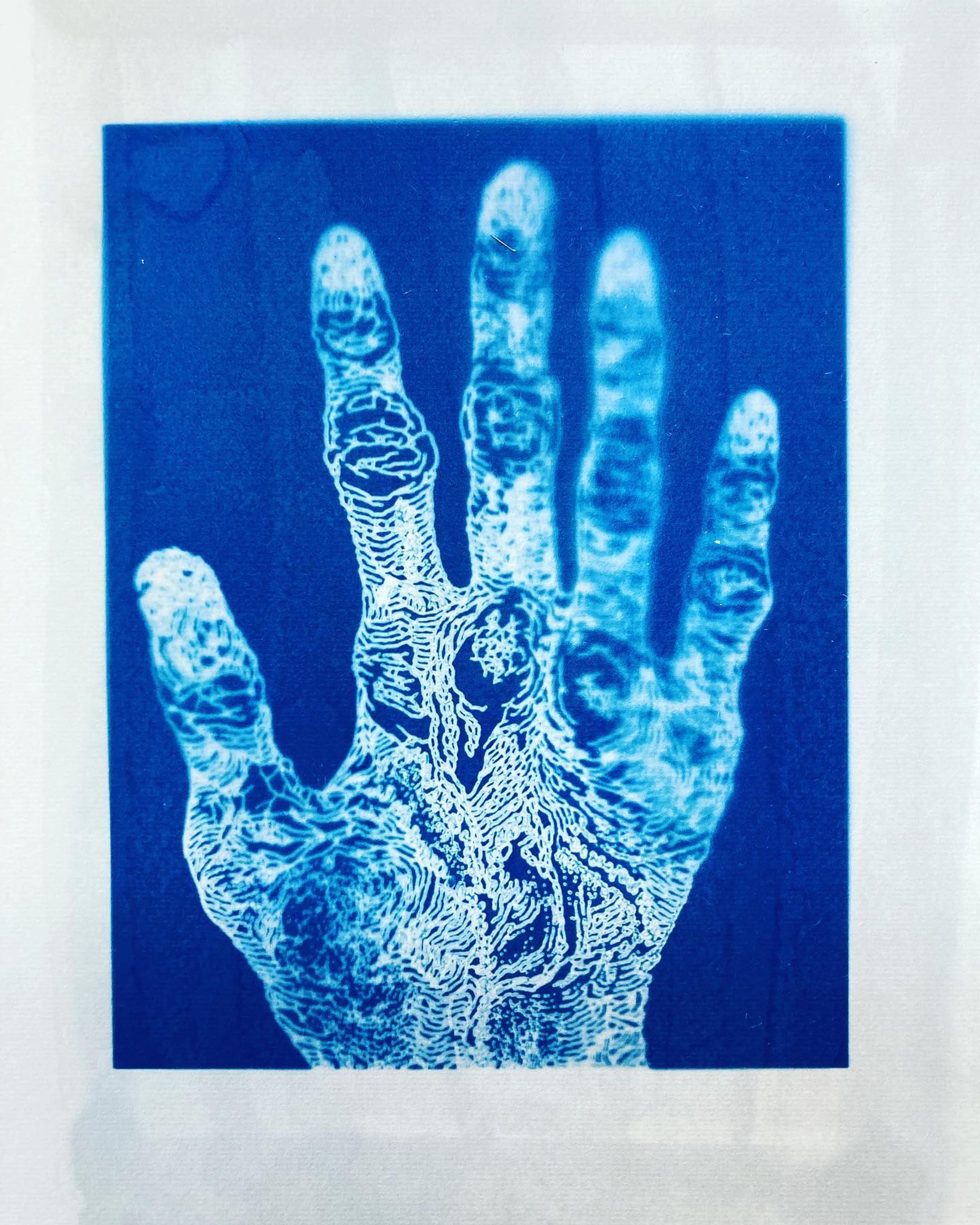 #artworks
#drawing 
#cyanotypeprint 
#青写真 #版画
ひとりにひとつずつのデータベース。-1