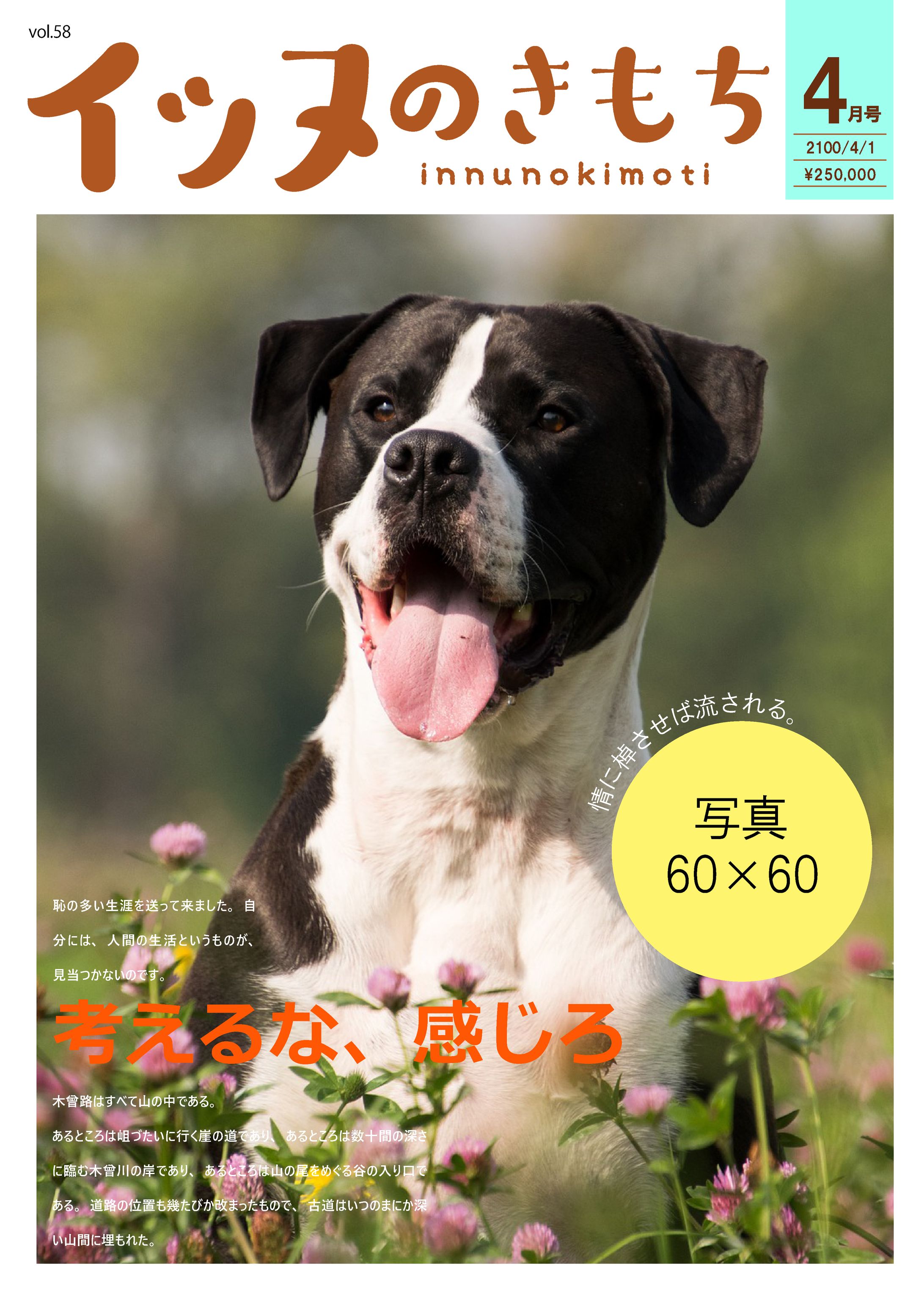 雑誌デザイン-1