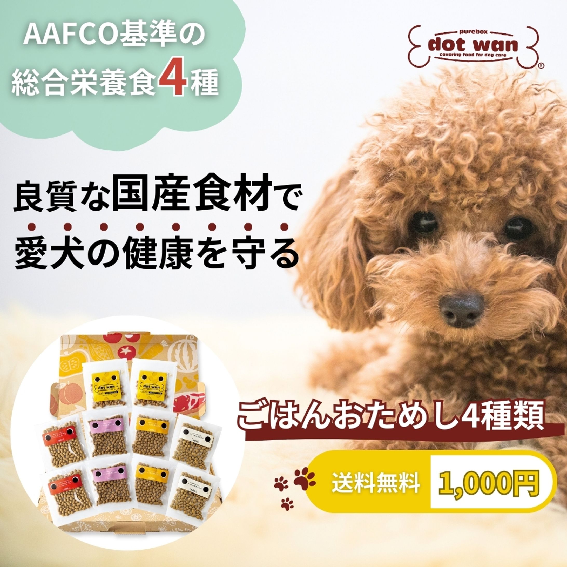 メタ広告用バナー-1