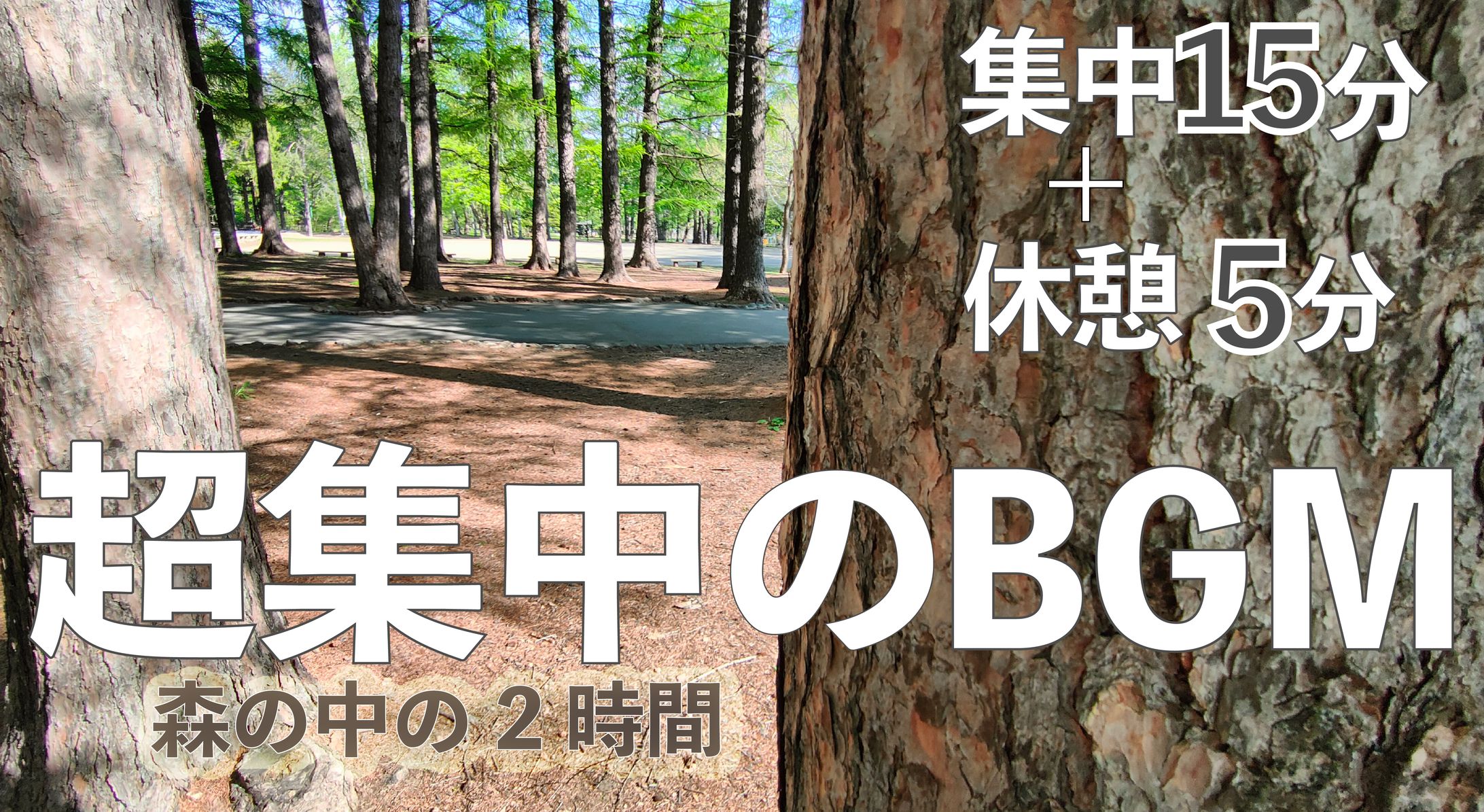 サムネイルトレース2022-1