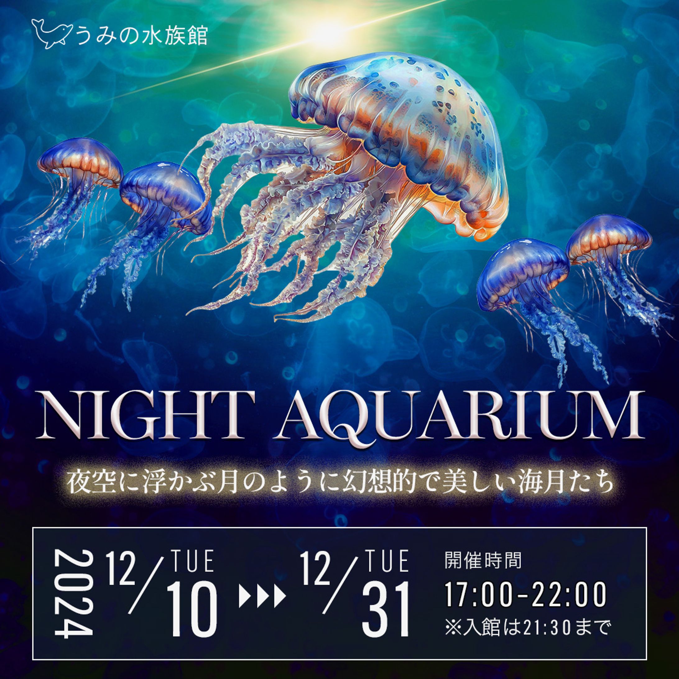 【バナー】NIGHT AQUARIUM-1