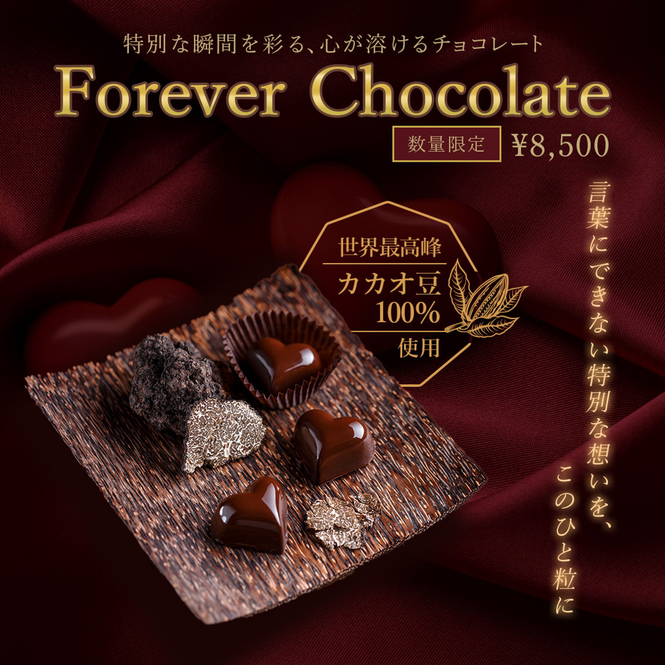 バレンタインチョコレートの広告バナー【架空】-1