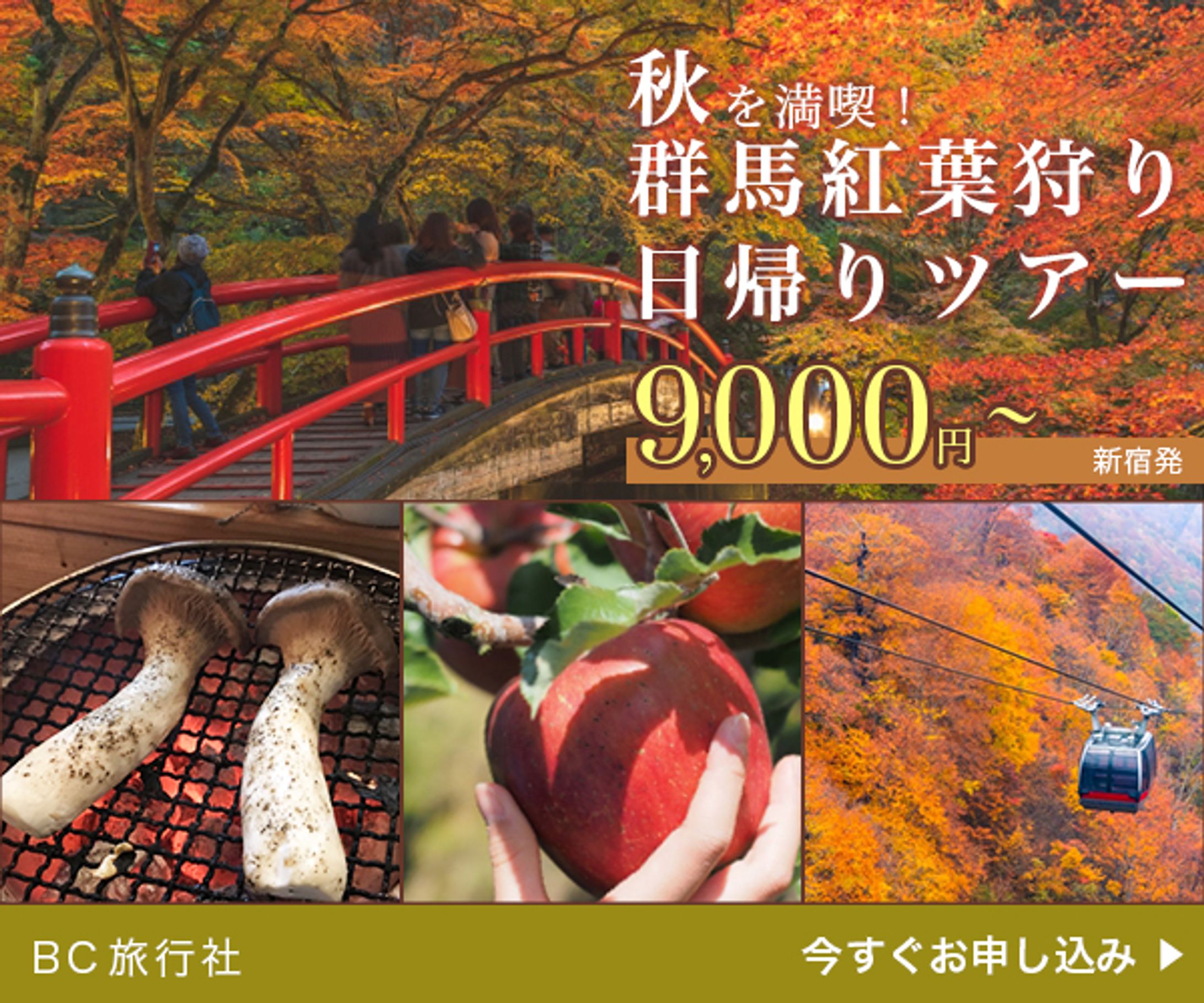 紅葉狩りツアーバナー(架空)-1