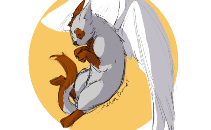 Cat Angel