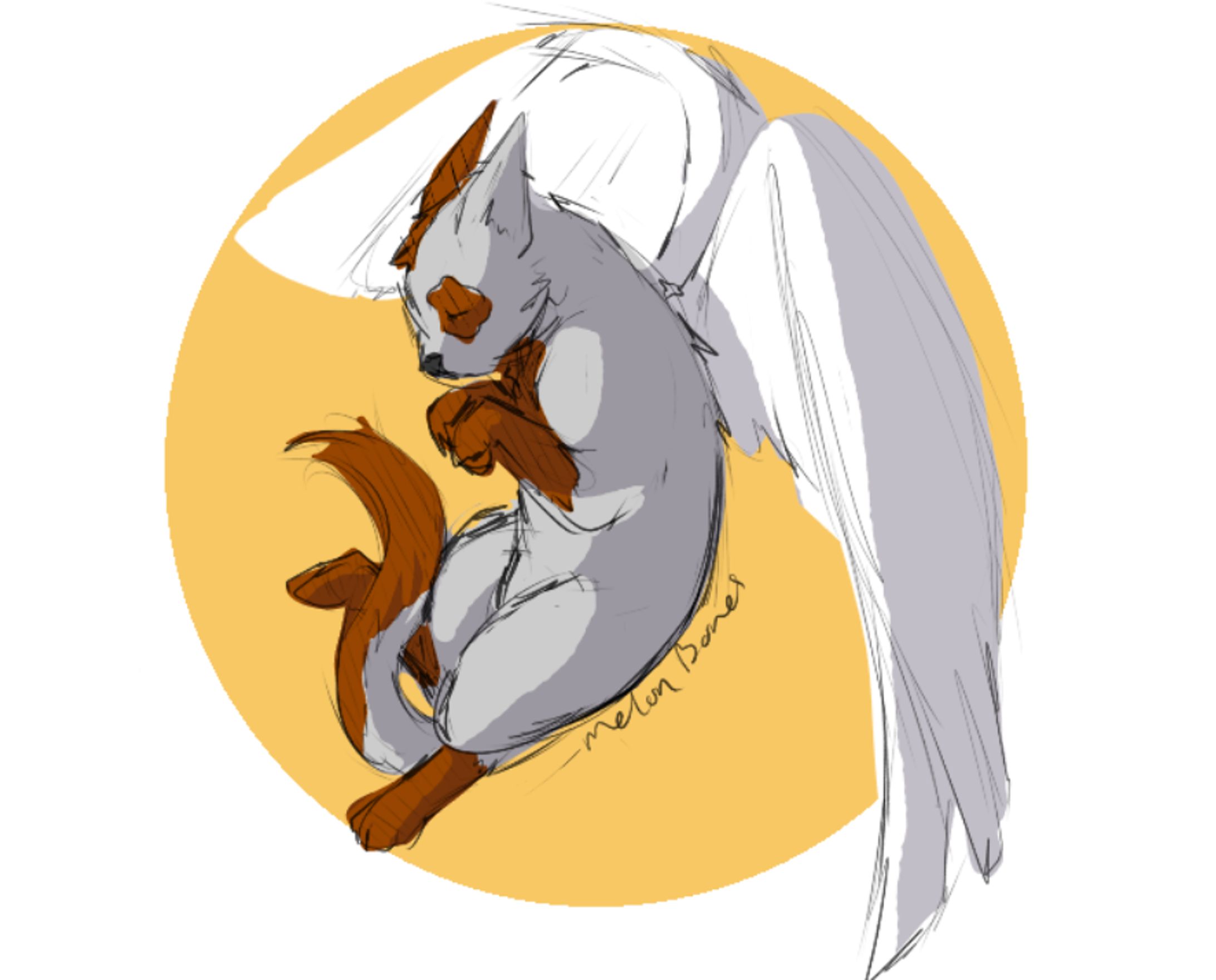 Cat Angel-1