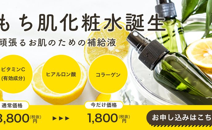 コーダー、seo