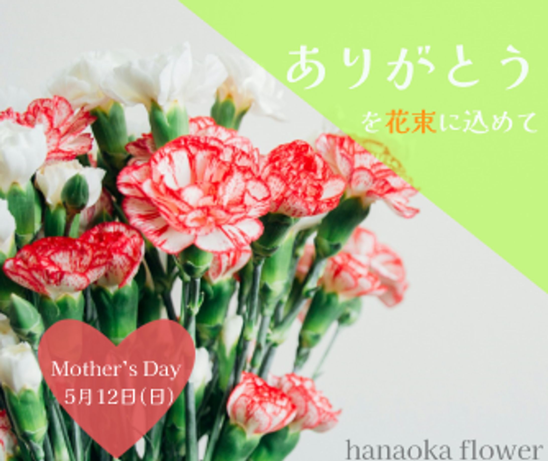 hahanohi-1