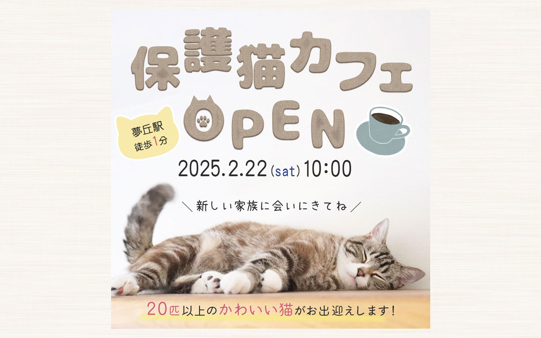 保護猫カフェ｜OPEN告知バナー-1