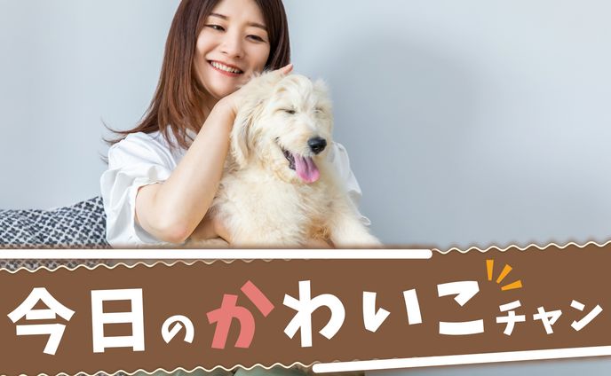 タイトルコール