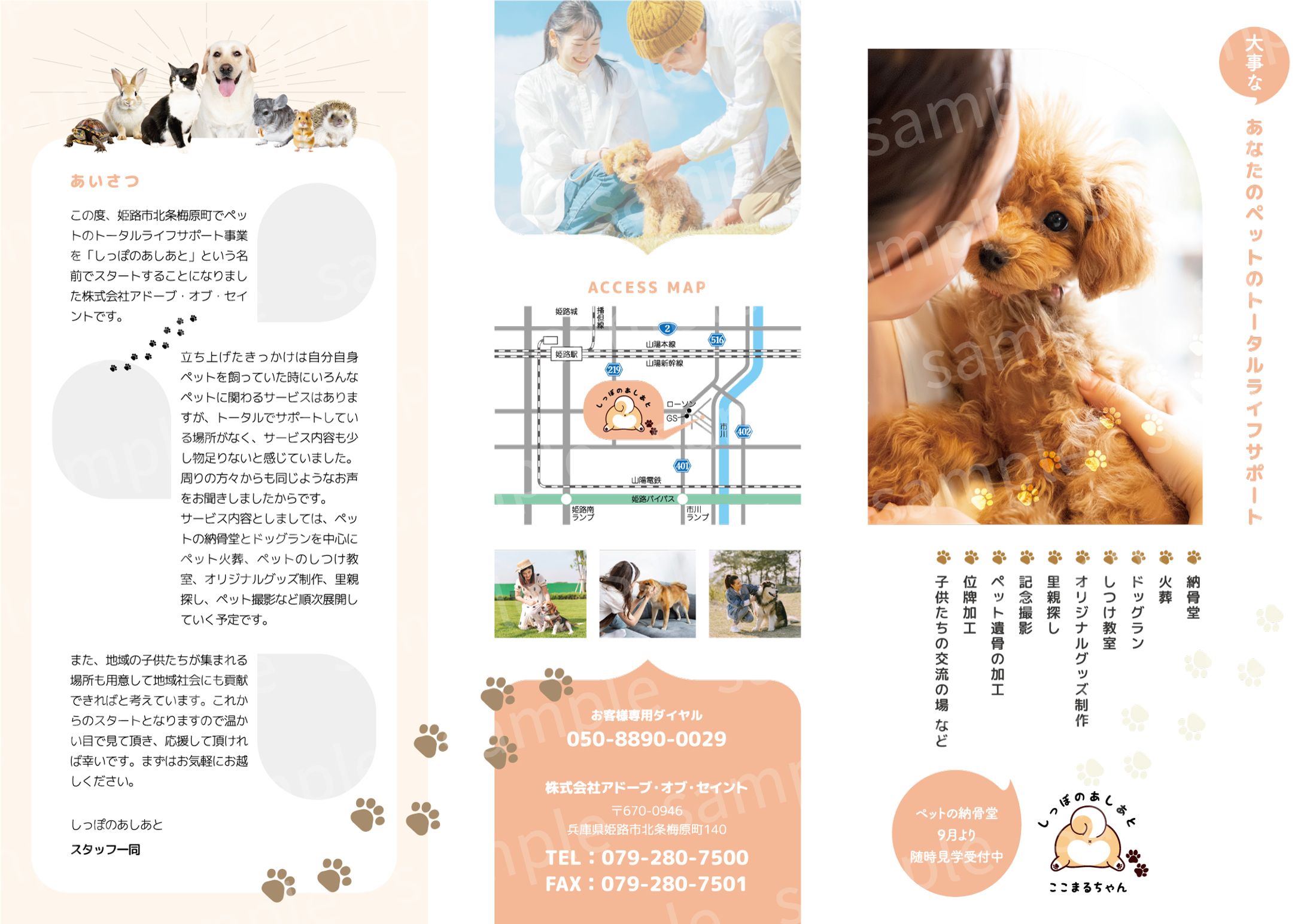 パンフレット-1