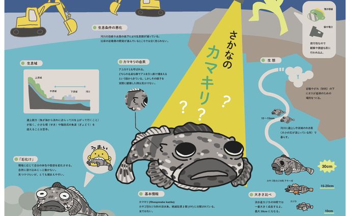 絶滅危惧種 インフォグラフィックス　2p