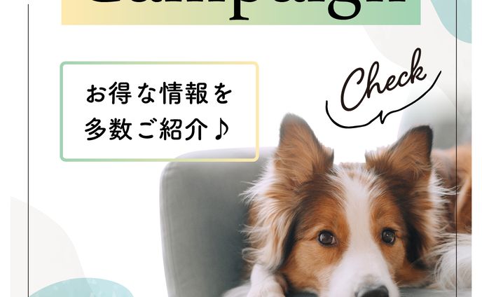 インスタ用画像テンプレート