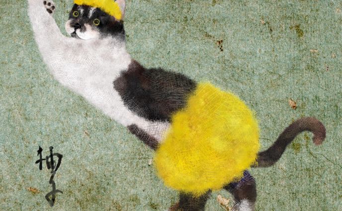 Tuxedo cat