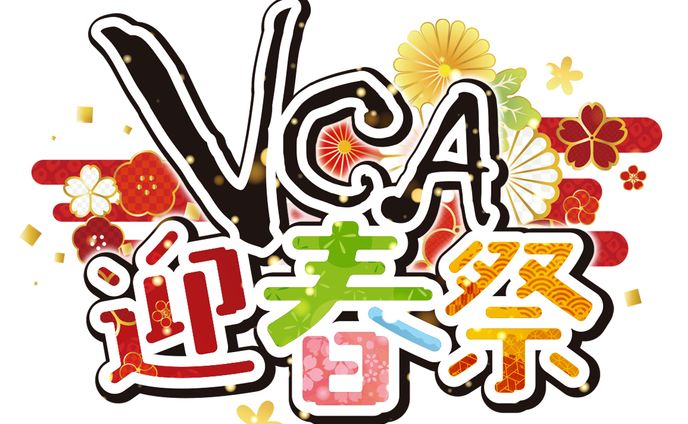 イラストレーター、live2dモデラー、リアル