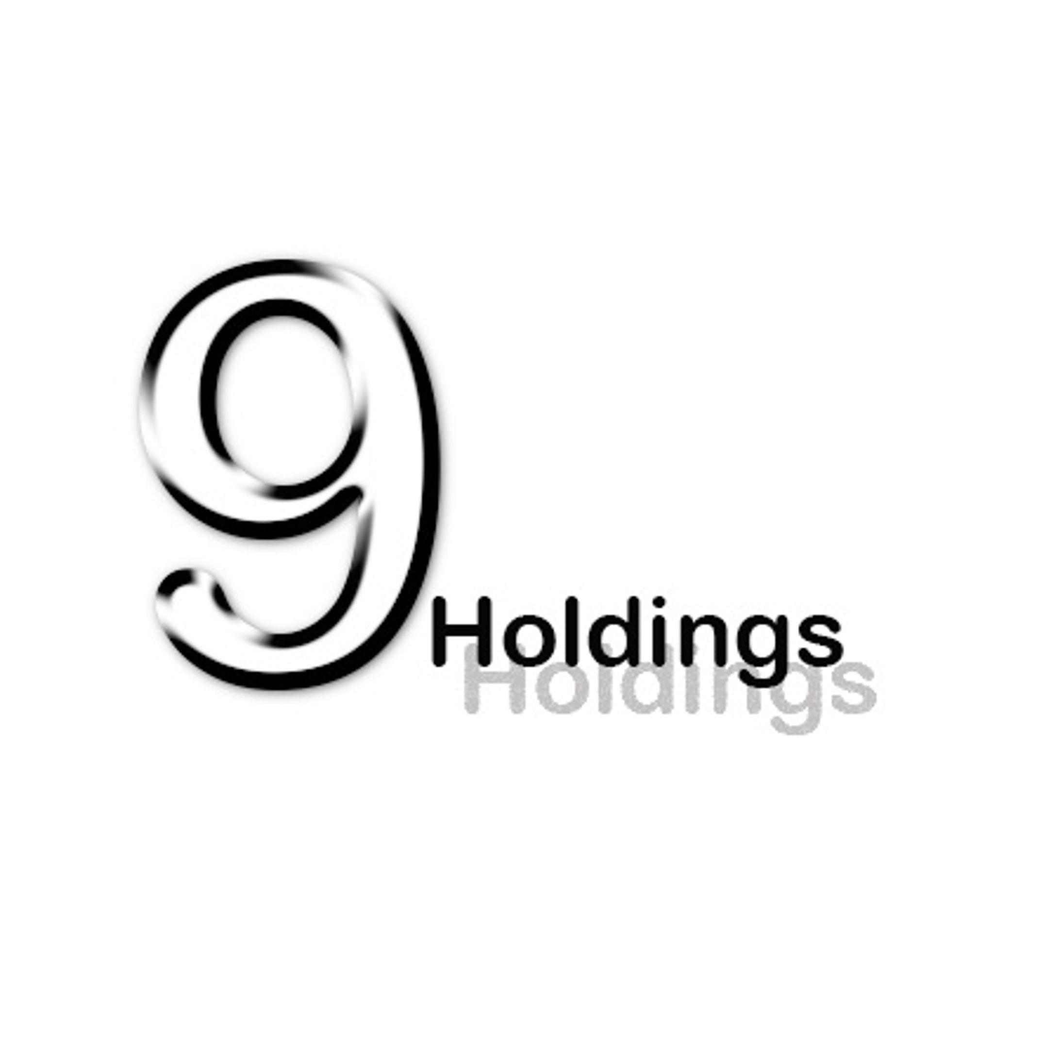 9holdings -1
