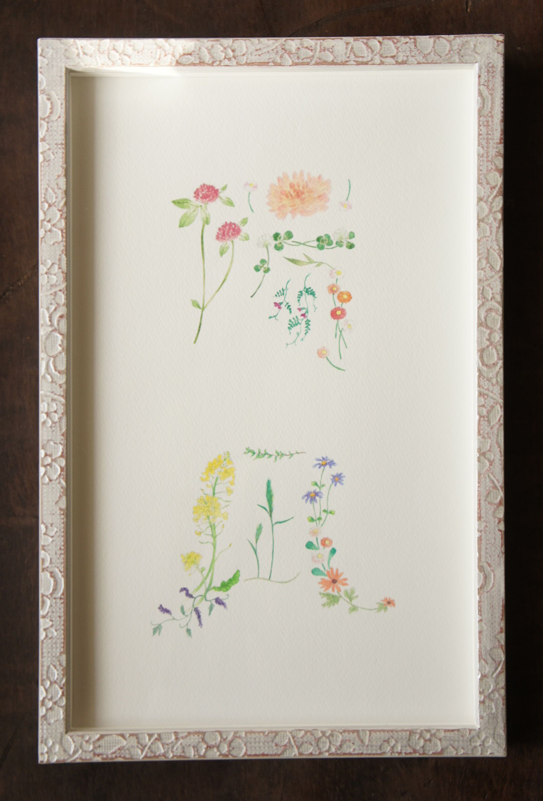 風花の花命画『陽凪』-1