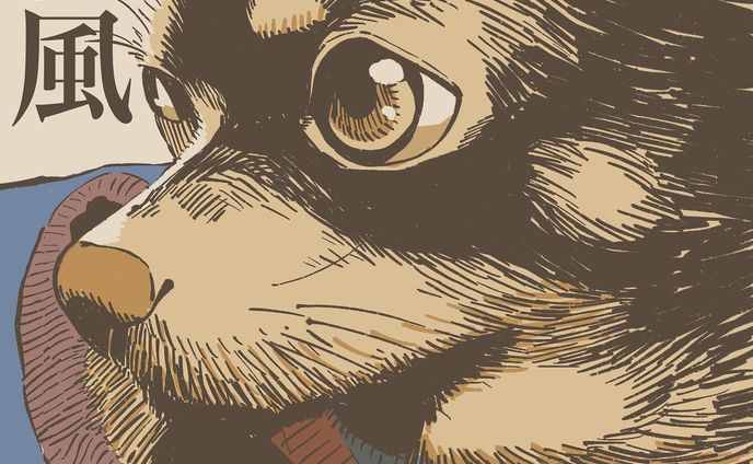 MATSUKAZE
#うちの犬のポートレイト　
#illustration #portrait #dog