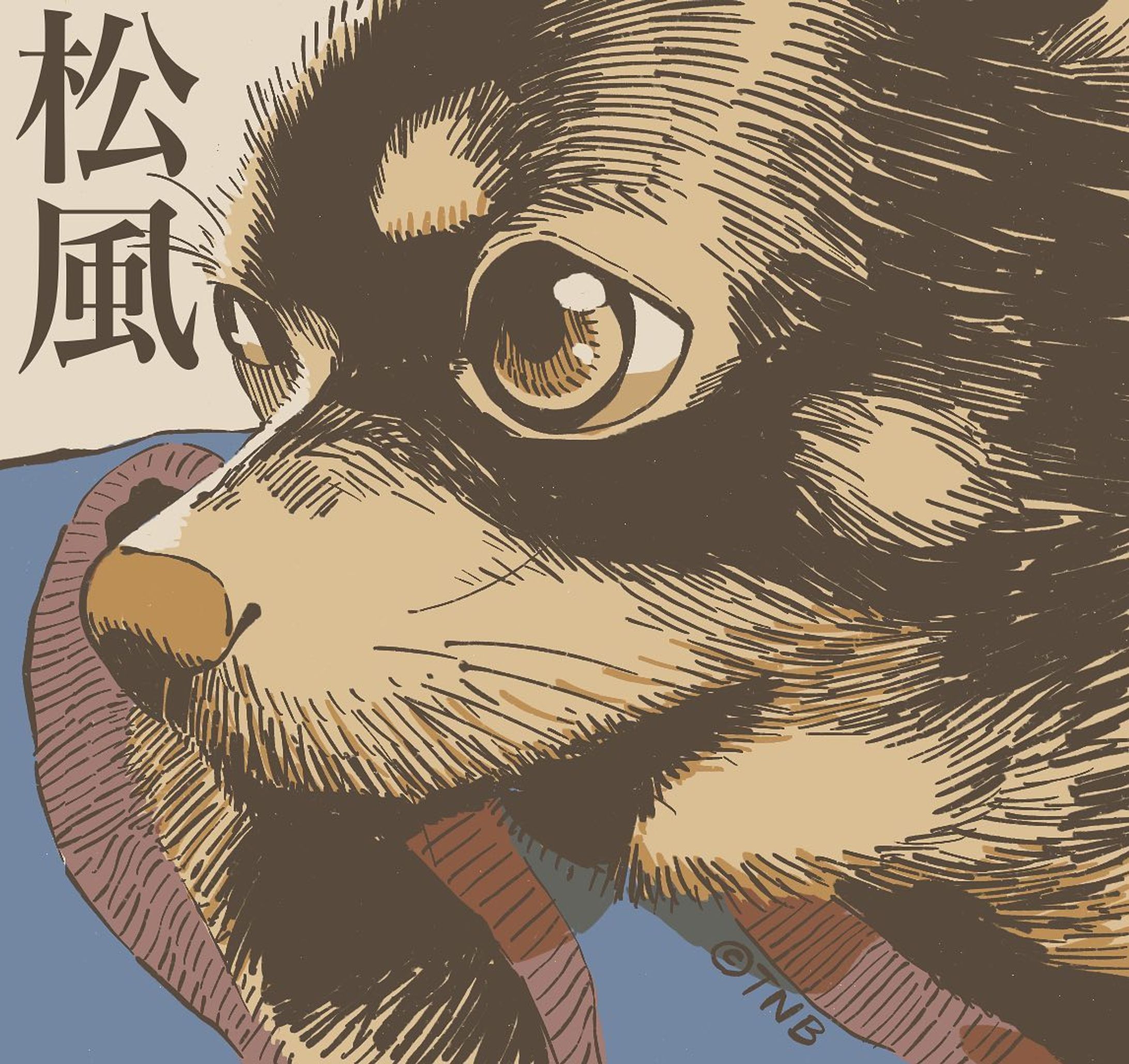 MATSUKAZE
#うちの犬のポートレイト　
#illustration #portrait #dog-1